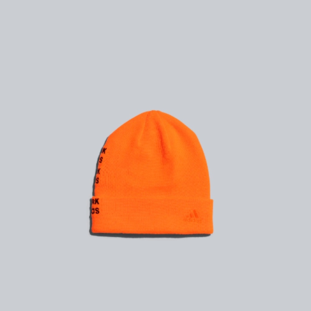 🚨SOLD🚨 IVY PARK LOGO BEANIE - Picture 2 of 6